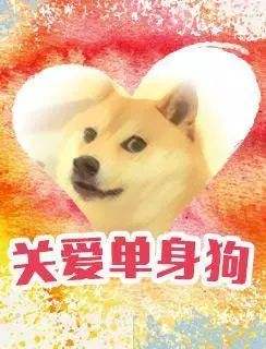 网上约会即将成为主流快速脱单方法之一