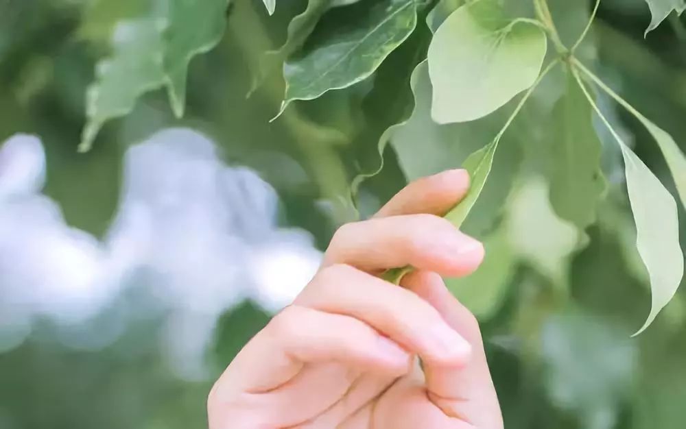 分手后想要追回男朋友，试试这样做：
