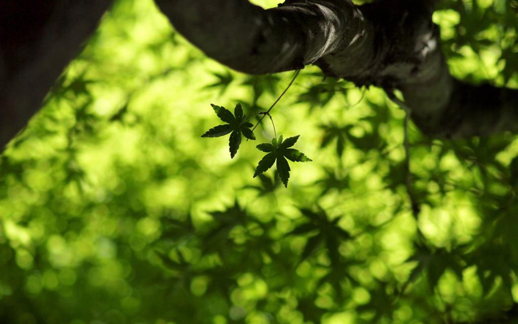 营造良好家庭氛围,促进和老公的感情 营造良好家庭氛围,促进和老公的感情