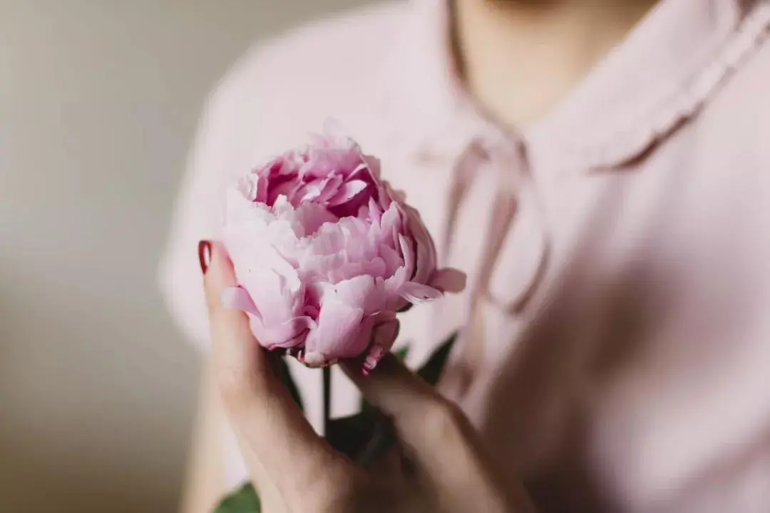 打了老婆了彻底伤心了怎么挽回？可以这样挽回！